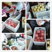 最新鮮最好吃的的中華壽肥桃